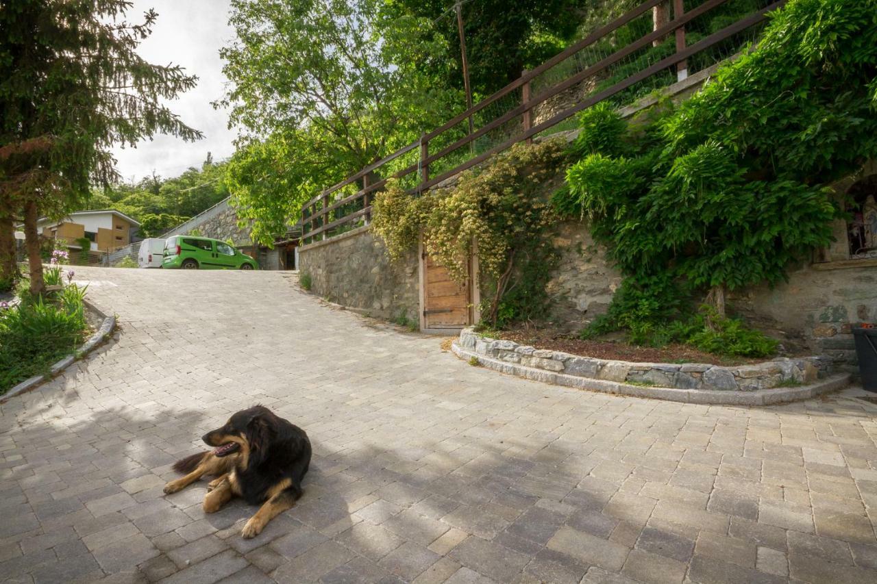 Ferienwohnung La Casa Di Alfredo E Virginia Aosta Exterior foto